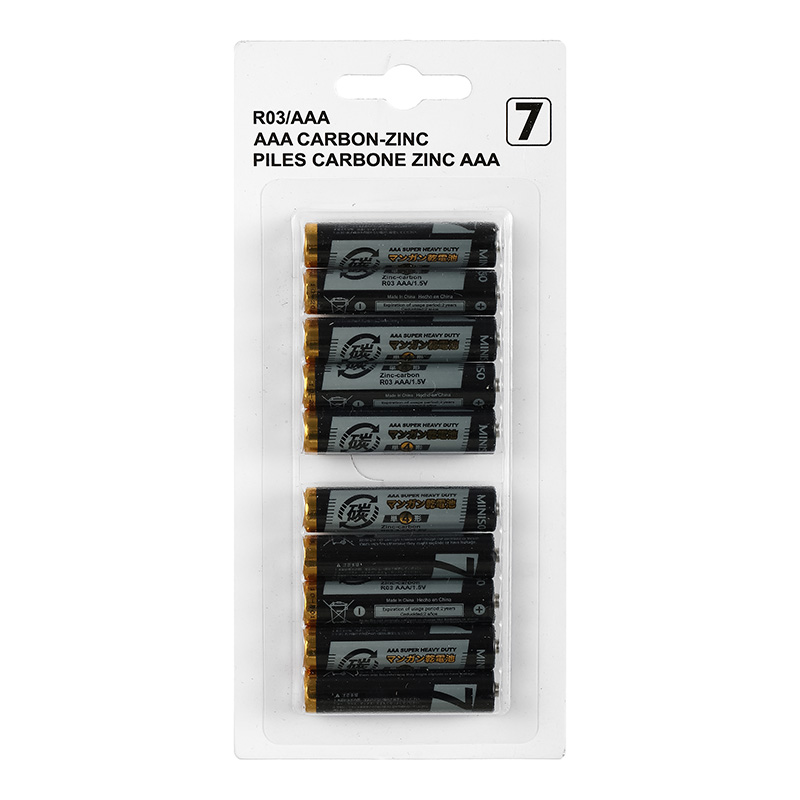 AAA ALKALINE BATTERY 10 PCS SET BLACK